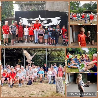 A Special Day at Cotswold Falconry Centre