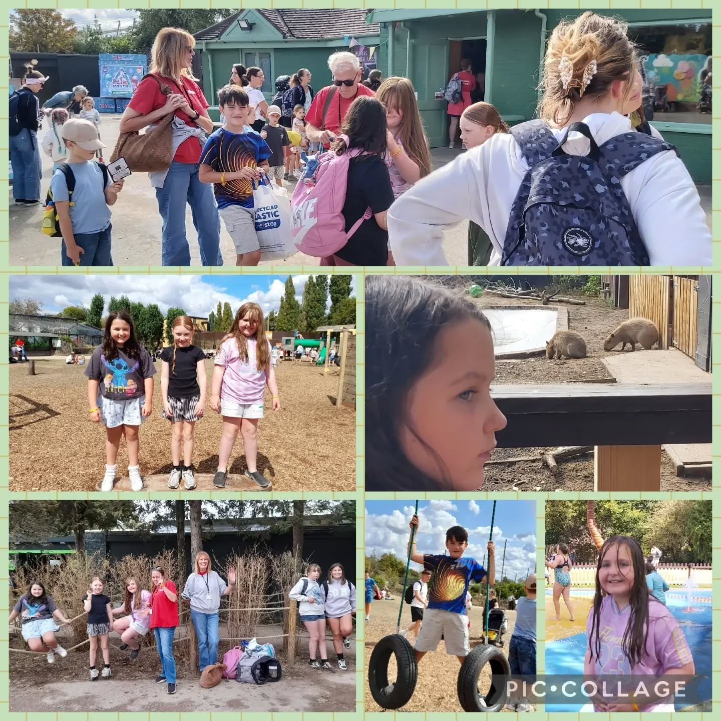 A Wild Day Out at Twycross Zoo