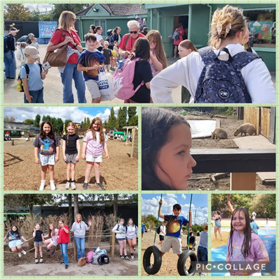A Wild Day Out at Twycross Zoo